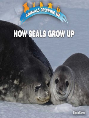 cover image of How Seals Grow Up